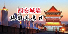 男女操逼鸡巴中国陕西-西安城墙旅游风景区